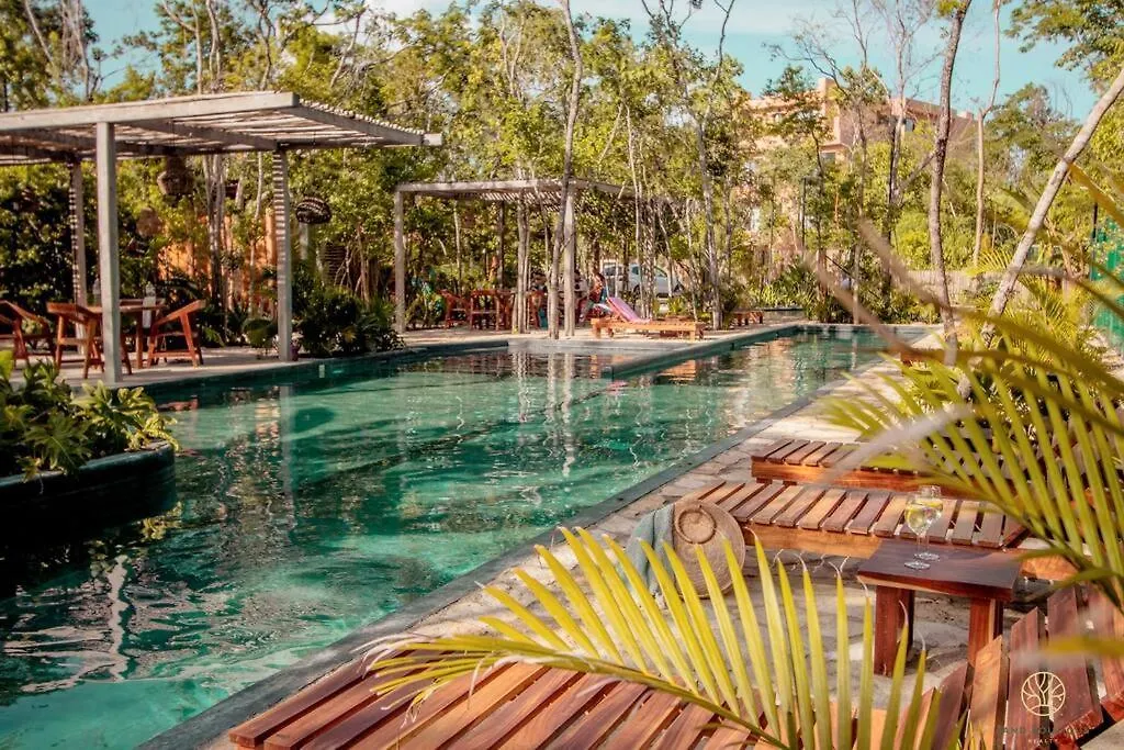 The Savia House - Rooftop & Gym Tulum Pueblo 0*,